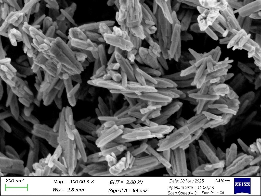 Non-nano ZnO SEM image — rod-shaped particles