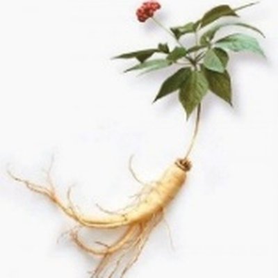 Ginseng Root Water