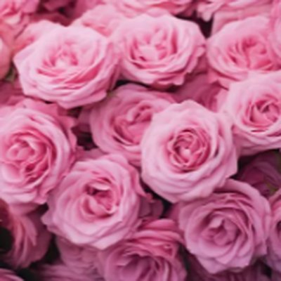 Rosa Damascena Flower Water