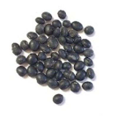 Soybean Seed Water